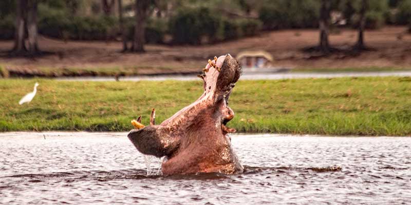 National Park Tours