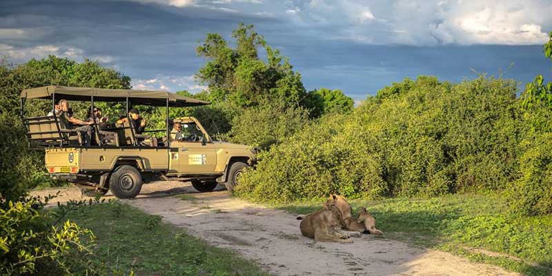 Chobe National Park Day Tour